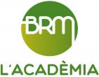 Logo Academia BRM