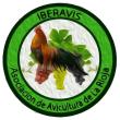 IBERAVIS. LOGO