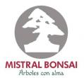 Logo Mistral Bonsai