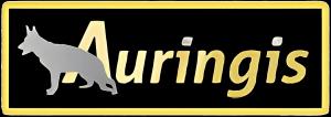 AURINGIS. LOGO