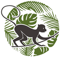 Logo THE JUNGLE BISTRÓ BY ELVA