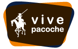 Logo GRUPO PACOCHE